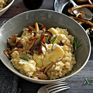 Risotto of Dried Mushrooms